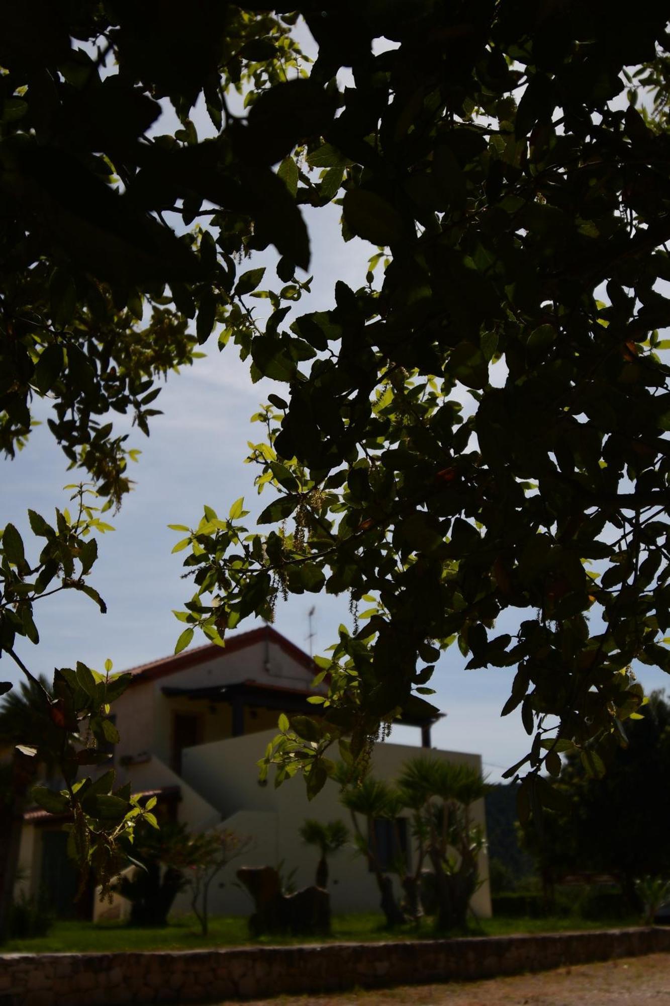 Fattoria La Traccia Villa Fertilia Exteriör bild